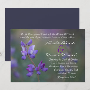 Field of Lupine invitation horizontal