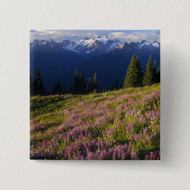 Field of lupine, Mt. Olympus, and clouds at 2 Inch Square Button (Front)