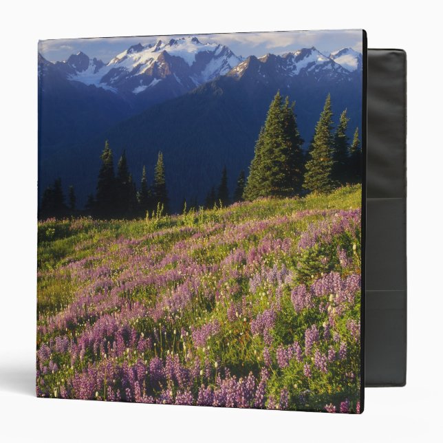 Field of lupine, Mt. Olympus, and clouds at Binder (Front/Inside)