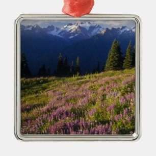 Field of lupine, Mt. Olympus, and clouds at Metal Ornament