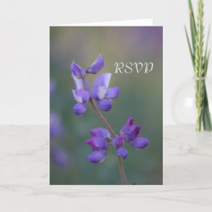 Field of Lupine RSVP Invitation