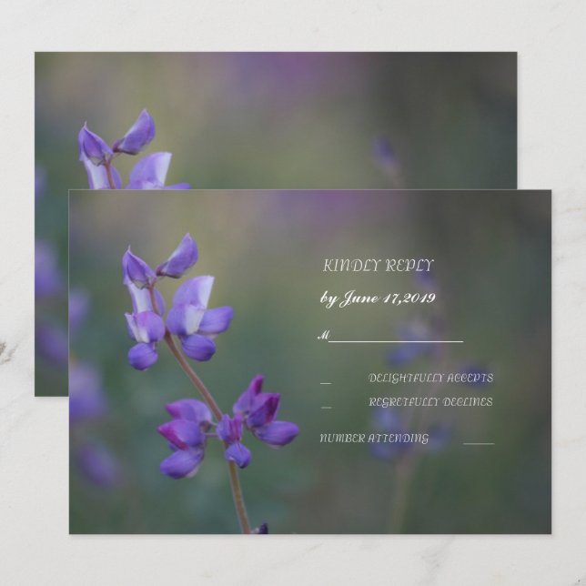 Field of Lupine RSVP Invitation (Front/Back)