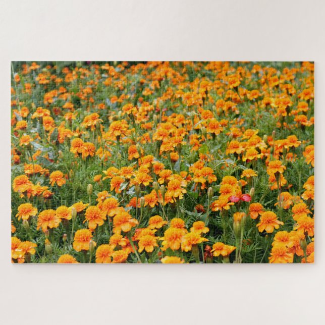 Field of Marigold Flowers Difficult Jigsaw Puzzle (Horizontal)
