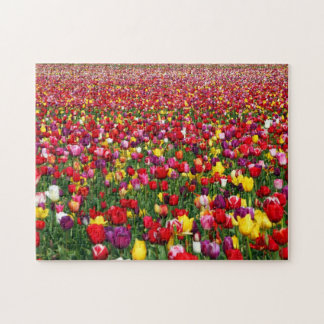 Field of multicolored tulips jigsaw puzzle