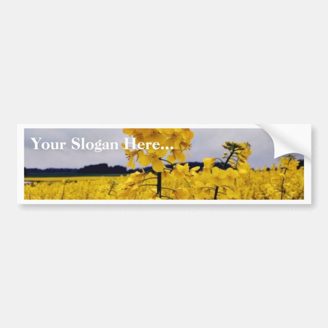 Field Of Oilseed Rape Bumper Sticker (Front)
