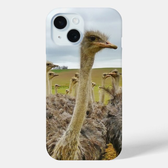 Field of Ostriches Case-Mate iPhone Case (Back)