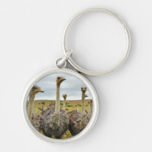 Field of Ostriches Keychain