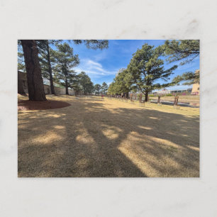 Field of Pillars Remembrance Postcard