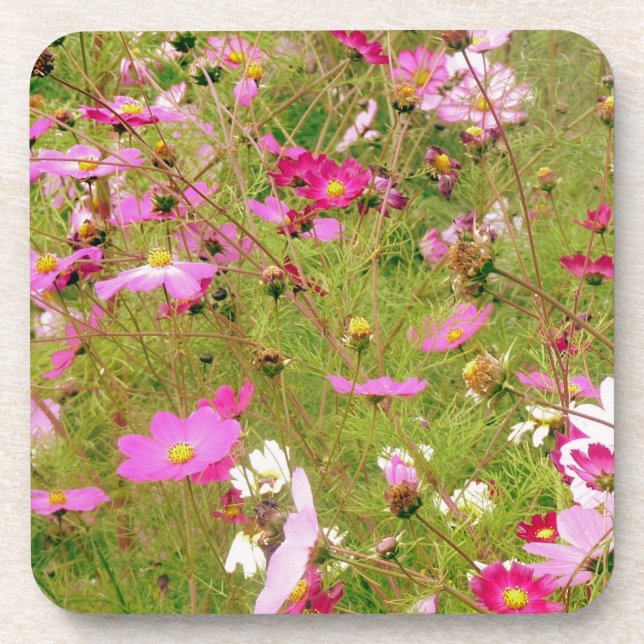 Field Of Pink Flowers Coaster (Front)