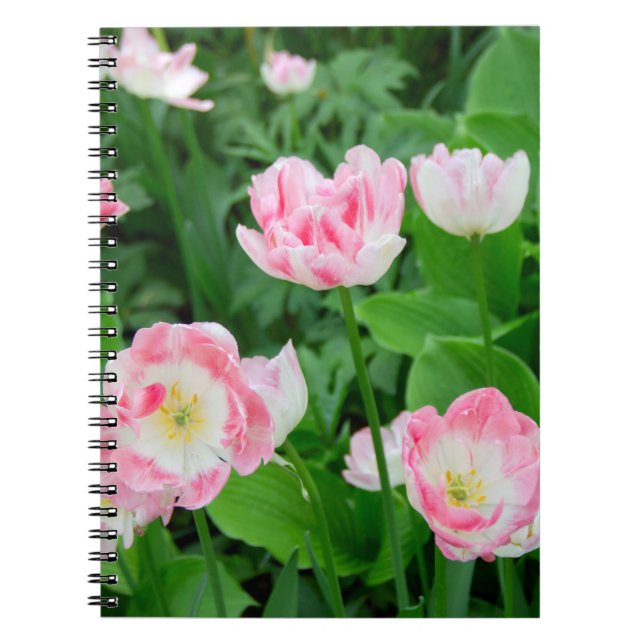 Field of pink tulips notebook (Front)
