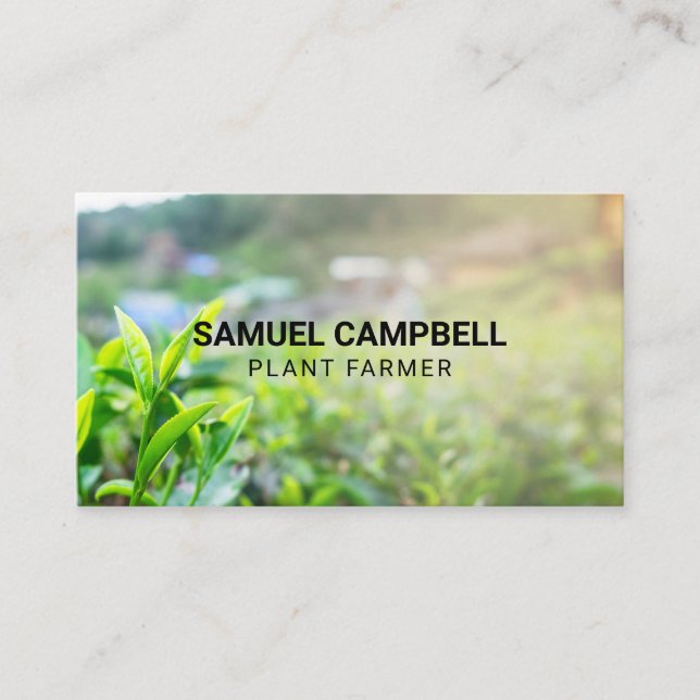 Field of Plants Business Card (Front)