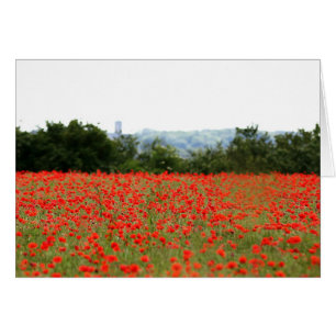 Field of Poppies