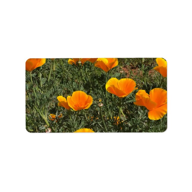 Field of Poppies Label (Front)