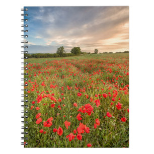 Field of Poppies Notebook
