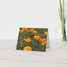 Field of Poppies