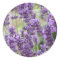 Field of Purple Lavender Flowers