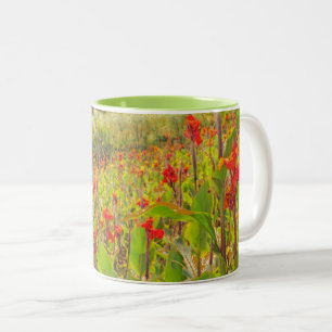 FIELD OF RED CANNA  FLOWERS (PHOTOG) Two-Tone COFFEE MUG
