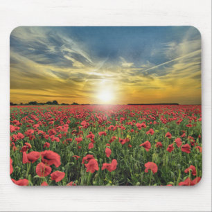 Field Of Red Flowers At Sunset Mouse Pad