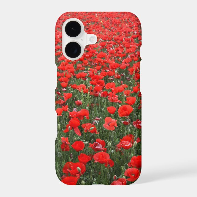 Field of Red Poppies (Verso)
