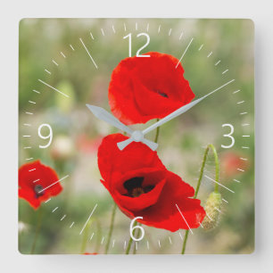 Field of red poppies square wall clock