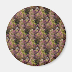 Field of Redbud trees.... Magnet