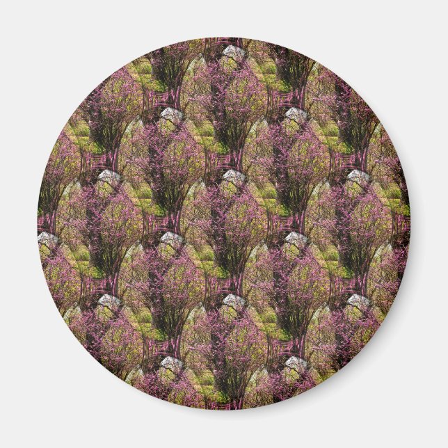 Field of Redbud trees.... Magnet (Front)