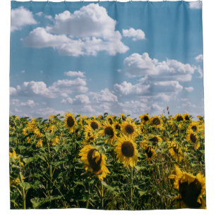 Field Of Sunflower Under Blue Sky With Clouds