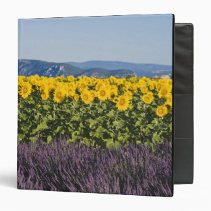 Field of sunflowers and lavender flowers, binder