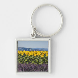Field of sunflowers and lavender flowers, keychain
