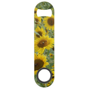 Field of Sunflowers Bar Key