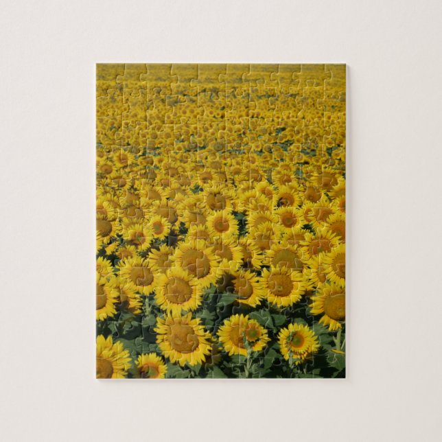 Field of Sunflowers Jigsaw Puzzle (Vertical)