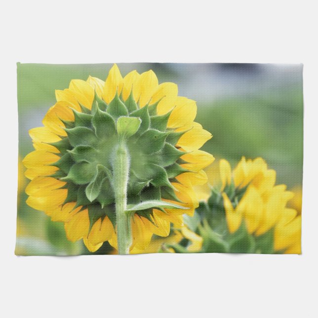 Field of Sunflowers Kitchen Towel (Horizontal)