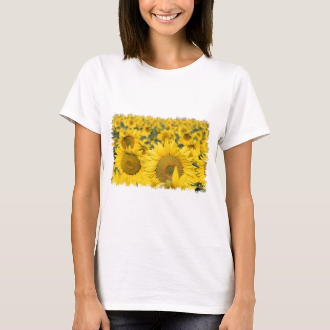 Field of Sunflowers Ladies Fitted T-Shirt (Front)