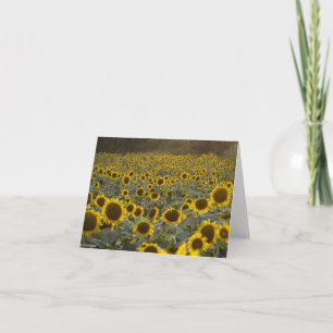 Field of Sunflowers Note Card