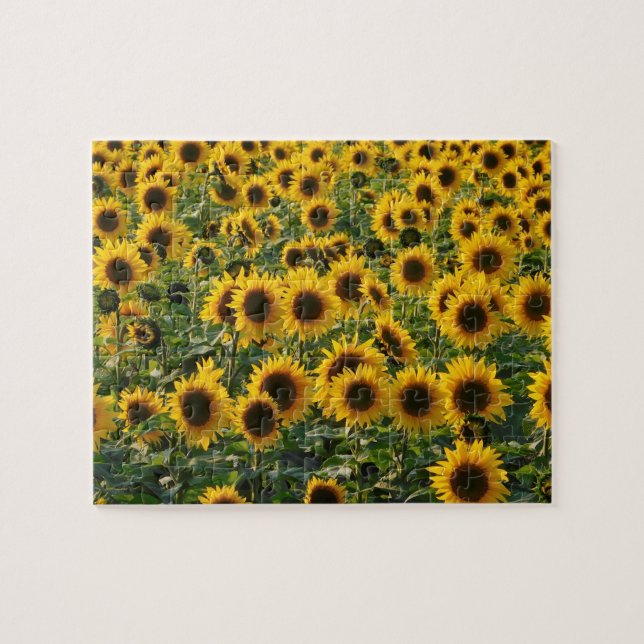 Field of Sunflowers Puzzle (Horizontal)