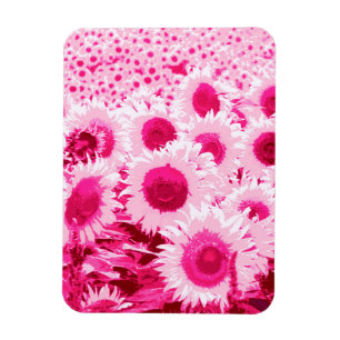 Field of Sunflowers - shades of fuchsia pink Magnet