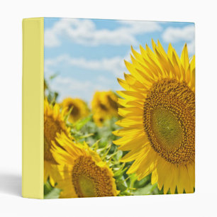 ***FIELD OF SUNFLOWERS*** SPECIAL PHOTO ALBUMN BINDER
