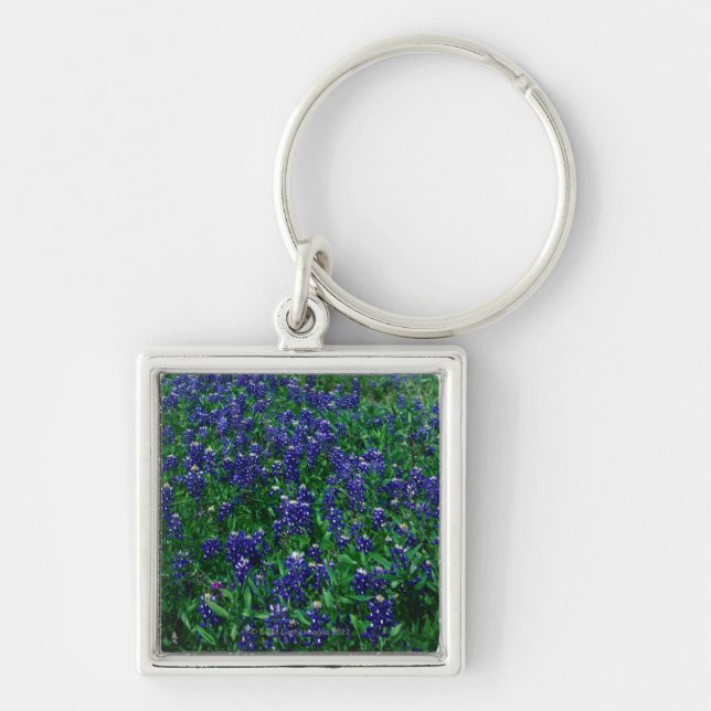 Field of Texas Bluebonnets Keychain (Front)
