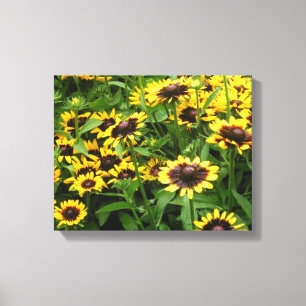 Field of Tiger Eye Flowers Wrapped Canvas