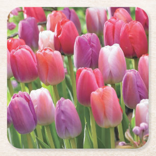 Field of Tulips Coaster Set