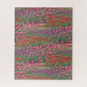 Field Of Tulips Jigsaw Puzzle