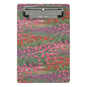 Field Of Tulips Mini Clipboard