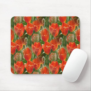 Field of Tulips...... Mouse Pad