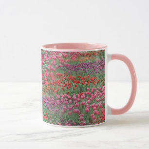 Field Of Tulips Mug