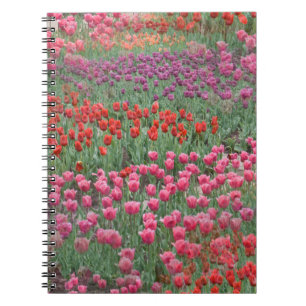 Field Of Tulips Notebook