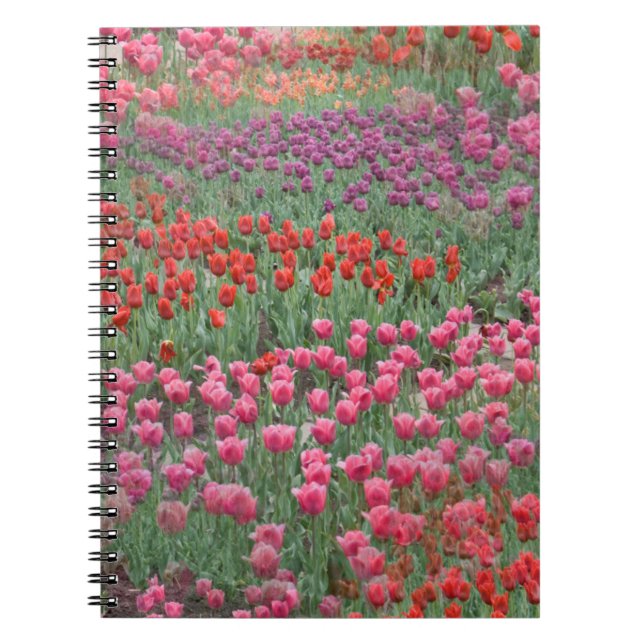 Field Of Tulips Notebook (Front)