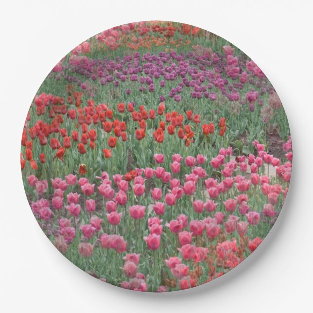 Field Of Tulips Paper Plate (Front)