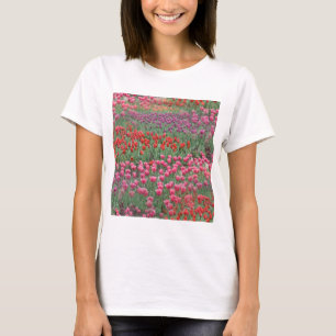 Field Of Tulips T-Shirt