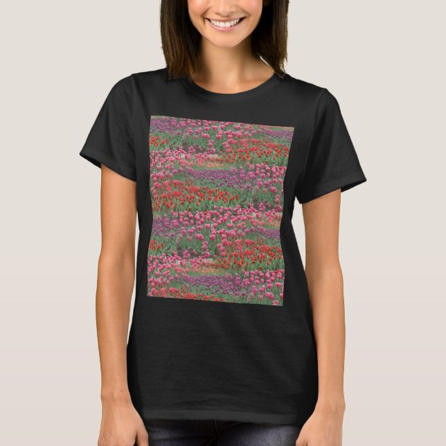 Field Of Tulips  T-Shirt (Front)