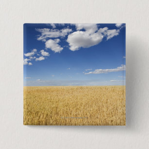 Field of wheat 2 inch square button